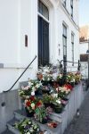 Harlingen 26 maart 2022
Bij het oude huis van Piet paulusma liggen veel bloemen en de frise vlag hangt halfstok.
