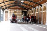 Den Haag 1 juni 2023
Paleis Noordeinde en de koninklijke stallen worden weer geopend voor publiek .
Wij kregen een rondleiding.