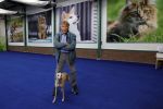 Lelystad 25 juni 2024
Martin Gaus in zijn nieuwe dieren centrum .