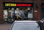 Amsterdam 27 mei 2024
Reiger op auto bij snackbar Ganzenpoort in de bijlmer.