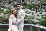 Arnhem 27 mei 2024
Trouwen Robbert de Nijs en zijn vrouw Sharon in Burgers Zoo. Zijn vader Rob de Nijs en moeder Belinda Meuldijk waren de getuigen .