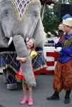 Lelystad 13 juni 2024
Rob kamphues en Jan Jaap v Roon organiseren met stichting groot hart een event , het grote race circus komt eraan, op de kartbaan in Lelystad .  Patrick Stoof is de presentator en ook Jack Plooij draagt zijn steentje bij.