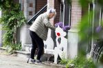 Amsterdam 10 juni 2025
Jeroen Krabbe en Herma Krabbe komen thuis van boodschappen doen . Herma begint meteen een bankje schoon te maken .
