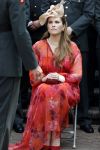 Amersfoort 18 juni 2023
Koning Willem Alexander en Prinses Amalia aanwezig bij de nieuwe standaard die overhandigt zal worden aan het Regiment Huzaren Prinses Catharina-Amalia op de Prins Bernhardkazerne. Het is de eerste keer nadat Prinses Amalia haar arm gebroken heeft na val van het paard .