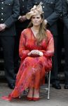 Amersfoort 18 juni 2023
Koning Willem Alexander en Prinses Amalia aanwezig bij de nieuwe standaard die overhandigt zal worden aan het Regiment Huzaren Prinses Catharina-Amalia op de Prins Bernhardkazerne. Het is de eerste keer nadat Prinses Amalia haar arm gebroken heeft na val van het paard .