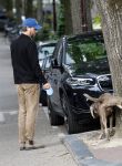 Amsterdam 5 juni 2025
Thijs Romer met petje op laat zijn hond uit in het centrum van Amsterdam.