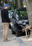 Amsterdam 5 juni 2025
Thijs Romer met petje op laat zijn hond uit in het centrum van Amsterdam.