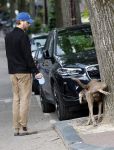 Amsterdam 5 juni 2025
Thijs Romer met petje op laat zijn hond uit in het centrum van Amsterdam.