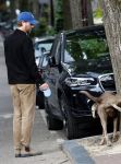 Amsterdam 5 juni 2025
Thijs Romer met petje op laat zijn hond uit in het centrum van Amsterdam.
