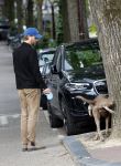 Amsterdam 5 juni 2025
Thijs Romer met petje op laat zijn hond uit in het centrum van Amsterdam.