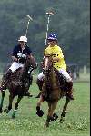 Wassenaar 1 juli 2000
Paarden Polo
Edward de Kroes