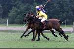 Wassenaar 1 juli 2000
Paarden Polo
Edward de Kroes