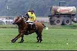 Wassenaar 1 juli 2000
Paarden Polo