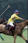 Wassenaar 1 juli 2000
Paarden Polo
Edward de Kroes