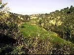 Barcelona 2 januari 2000
Club de Golf MASIA BACH
Golfen Mooie Golfbaan
