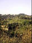 Barcelona 2 januari 2000
Club de Golf MASIA BACH
Golfen Mooie Golfbaan
