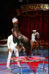 Amsterdam 9 juli 2002
Premiere Circus Renz
Zeehond