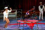 Amsterdam 9 juli 2002

Premiere Circus Renz


Peter Smulders bv