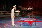 Amsterdam 9 juli 2002
Premiere Circus Renz
Zeehond
