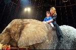 Amsterdam 8 juli 2003
Premiere circus Renz bij de RAI
Ariane Spier met zoontje op olifant