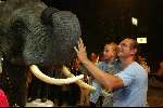 Amsterdam 8 juli 2003
Premiere circus Renz bij de RAI
Dennis Mulder met dochtertje bij olifant