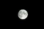 Vinkeveen 11 juli 2003
Volle Maan
