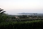 St Tropez 24 juli 2004
Uitzicht vanuit huis Jan des Bouvrie en Monique des Bouvries