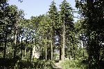 Wassenaar 17 juli 2005
Landgoed  
