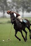 Vreeland 21 juli 2005
Pascal Zantman polo spelend