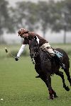 Vreeland 21 juli 2005
Pascal Zantman polo spelend