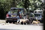 Amsterdam 13 juli 2005
Tatjana met haar 2 honden