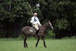 Vreeland 21 juli 2005
Winston Gerschtanowitz  polo spelend
