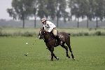Vreeland 21 juli 2005
Winston Gerschtanowitz  polo spelend