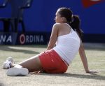 Rosmalen, 22 Juni 2006 Tennis Ordina Open 2006  
Jelena Jankovic
© Foto Edwin van Zandvoort