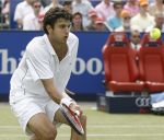Rosmalen, 24 Juni 2006 Ordina Open 2006
Finale Heren Jan Hernych - Mario Ancic 0-6  7-5  6-7
© Foto Edwin v Zandvoort