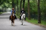 Bosch e Duin 3 juni 2007
Belinda Meuldijk en Thierry Duval paardrijden vanuit thuis.