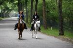 Bosch e Duin 3 juni 2007
Belinda Meuldijk en Thierry Duval paardrijden vanuit thuis.