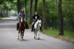 Bosch e Duin 3 juni 2007
Belinda Meuldijk en Thierry Duval paardrijden vanuit thuis.