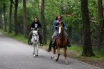 Bosch e Duin 3 juni 2007
Belinda Meuldijk en Thierry Duval paardrijden vanuit thuis.