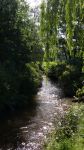 De Dommel
