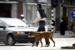 Amsterdam 30 mei 2007
Edwin de Roy v Zuydewijn met zijn hond op straat.
