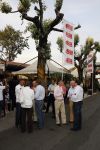 Brescia 16 mei 2007
State of Art is sponsor van de legendarische rally Mille Miglia.