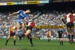 Rotterdam, 14 Mei 1986
Kompetitiewedstrijd Feyenoord-PSV, eindstand 2-3
Addick Koot