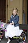 Den Haag 26 juni 2007
Fotomoment met Prins Willem Alexander Maxima Prinses Amalia Alexia en Ariane bij de koninklijke stallen. Prinses Alexia viert haar 2e verjaardag.