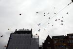 Amsterdam 28 april 2009
Wendy v Dijk opent etalage bij de bijenkorf met alle mickey Mouse oren voor aktie tbv doe een wens. Sem en haar broek Mike zijn erbij aanwezig. ballonnen
Peter Smulders bv
