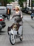 Amsterdam 20 augustus 2008
Bridget Maasland met bakfiets en hond.