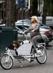 Amsterdam 20 augustus 2008
Bridget Maasland met bakfiets en hond.