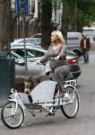 Amsterdam 20 augustus 2008
Bridget Maasland met bakfiets en hond.