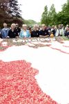Lisse 9 mei 2009
Caroline Tensen tijdens NCRV loop in de keukenhof. De opbrengst gaat naar orange babies.
Peter Smulders bv