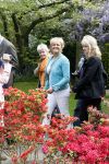 Lisse 9 mei 2009
Caroline Tensen tijdens NCRV loop in de keukenhof. De opbrengst gaat naar orange babies.
Peter Smulders bv